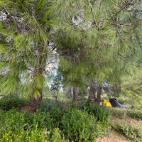 Island in Greece, Ionian Islands, Corfu, 3500 sq.m.