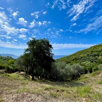 Остров в Греции, Ионические острова, Корфу, 8000 кв.м.