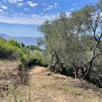 Остров в Греции, Ионические острова, Корфу, 8000 кв.м.