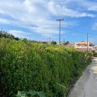 Остров в Греции, Ионические острова, Корфу, 883 кв.м.