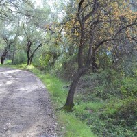 Остров в Греции, Ионические острова, Корфу, 10959 кв.м.