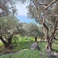 Остров в Греции, Ионические острова, Корфу, 980 кв.м.