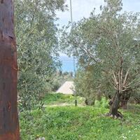 Остров в Греции, Ионические острова, Корфу, 980 кв.м.