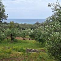 Island in Greece, Ionian Islands, Corfu, 7000 sq.m.