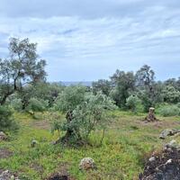 Island in Greece, Ionian Islands, Corfu, 7000 sq.m.