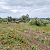 Island in Greece, Ionian Islands, Corfu, 7000 sq.m.