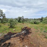 Island in Greece, Ionian Islands, Corfu, 7000 sq.m.