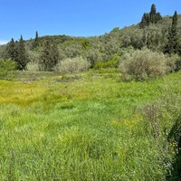 Island in Greece, Ionian Islands, Corfu, 793 sq.m.
