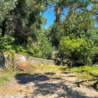 Island in Greece, Ionian Islands, Corfu, 1100 sq.m.