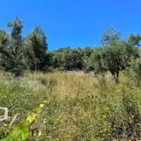 Island in Greece, Ionian Islands, Corfu, 1100 sq.m.