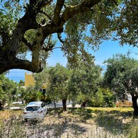 Island in Greece, Ionian Islands, Corfu, 1100 sq.m.