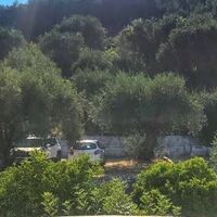Island in Greece, Ionian Islands, Corfu, 1100 sq.m.