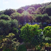 Island in Greece, Ionian Islands, Corfu, 1100 sq.m.