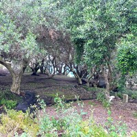 Island in Greece, Ionian Islands, Corfu, 940 sq.m.