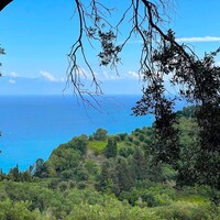 Island in Greece, Ionian Islands, Corfu, 4337 sq.m.