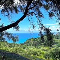 Island in Greece, Ionian Islands, Corfu, 4337 sq.m.