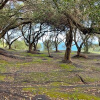 Island in Greece, Ionian Islands, Corfu, 4337 sq.m.