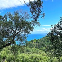 Island in Greece, Ionian Islands, Corfu, 4337 sq.m.