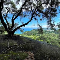 Island in Greece, Ionian Islands, Corfu, 4337 sq.m.