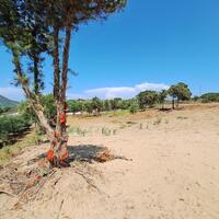 Island in Greece, Ionian Islands, Corfu, 10186 sq.m.