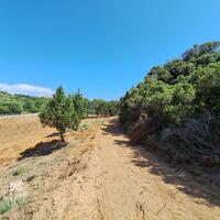 Island in Greece, Ionian Islands, Corfu, 10186 sq.m.