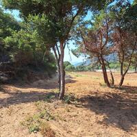 Island in Greece, Ionian Islands, Corfu, 10186 sq.m.