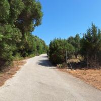 Island in Greece, Ionian Islands, Corfu, 10186 sq.m.