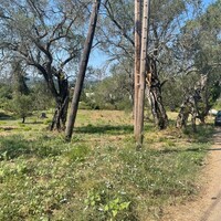 Остров в Греции, Ионические острова, Корфу, 4154 кв.м.