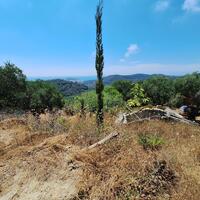 Island in Greece, Ionian Islands, Corfu, 3310 sq.m.