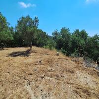 Island in Greece, Ionian Islands, Corfu, 3310 sq.m.