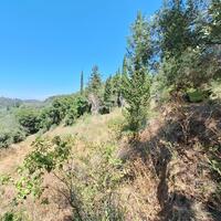Island in Greece, Ionian Islands, Corfu, 3310 sq.m.