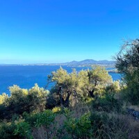 Island in Greece, Ionian Islands, Corfu, 4982 sq.m.