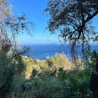 Island in Greece, Ionian Islands, Corfu, 4982 sq.m.