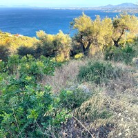 Island in Greece, Ionian Islands, Corfu, 4982 sq.m.