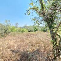 Island in Greece, Ionian Islands, Corfu, 3400 sq.m.