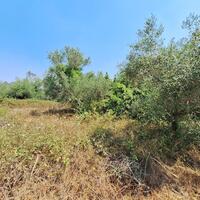 Island in Greece, Ionian Islands, Corfu, 3400 sq.m.