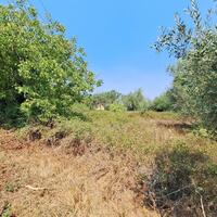 Island in Greece, Ionian Islands, Corfu, 3400 sq.m.