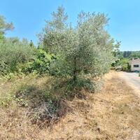 Island in Greece, Ionian Islands, Corfu, 3400 sq.m.