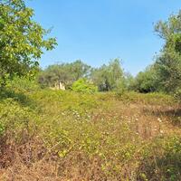 Island in Greece, Ionian Islands, Corfu, 3400 sq.m.