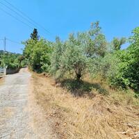 Island in Greece, Ionian Islands, Corfu, 3400 sq.m.
