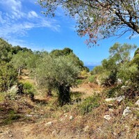 Island in Greece, Ionian Islands, Corfu, 4162 sq.m.