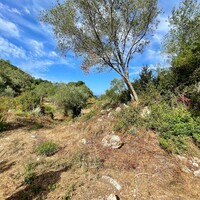 Island in Greece, Ionian Islands, Corfu, 4162 sq.m.