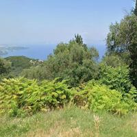 Island in Greece, Ionian Islands, Corfu, 2300 sq.m.