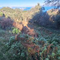 Island in Greece, Ionian Islands, Corfu, 2300 sq.m.