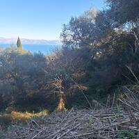 Island in Greece, Ionian Islands, Corfu, 2300 sq.m.