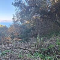 Island in Greece, Ionian Islands, Corfu, 2300 sq.m.