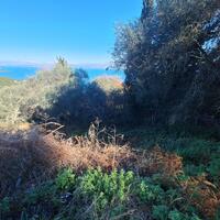 Island in Greece, Ionian Islands, Corfu, 2300 sq.m.