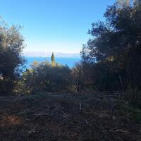 Island in Greece, Ionian Islands, Corfu, 2300 sq.m.