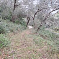 Island in Greece, Ionian Islands, Corfu, 5000 sq.m.