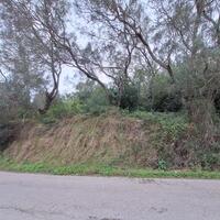 Island in Greece, Ionian Islands, Corfu, 5000 sq.m.